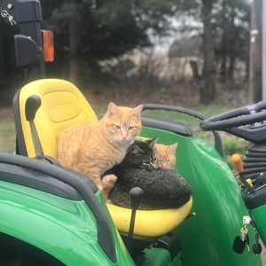 Meet your Posher, Howard